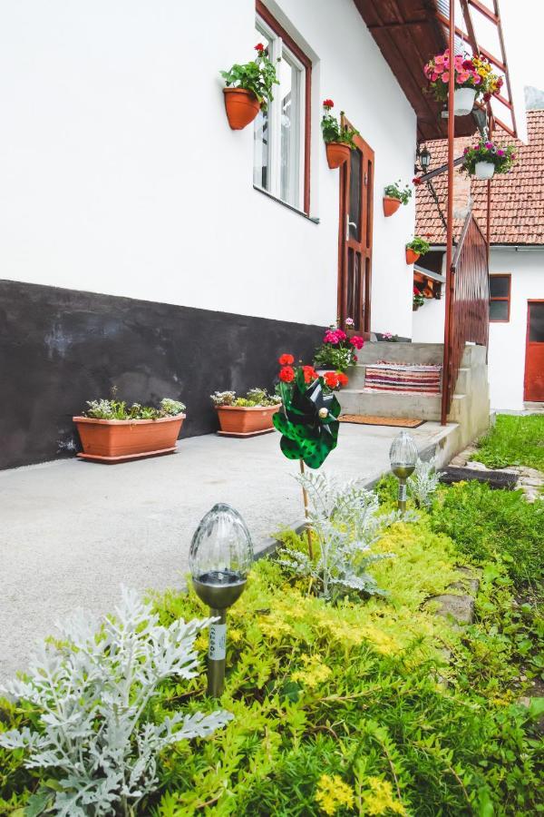 Casa De Vacanta Harsfa Vendeghaz Rimetea Zewnętrze zdjęcie